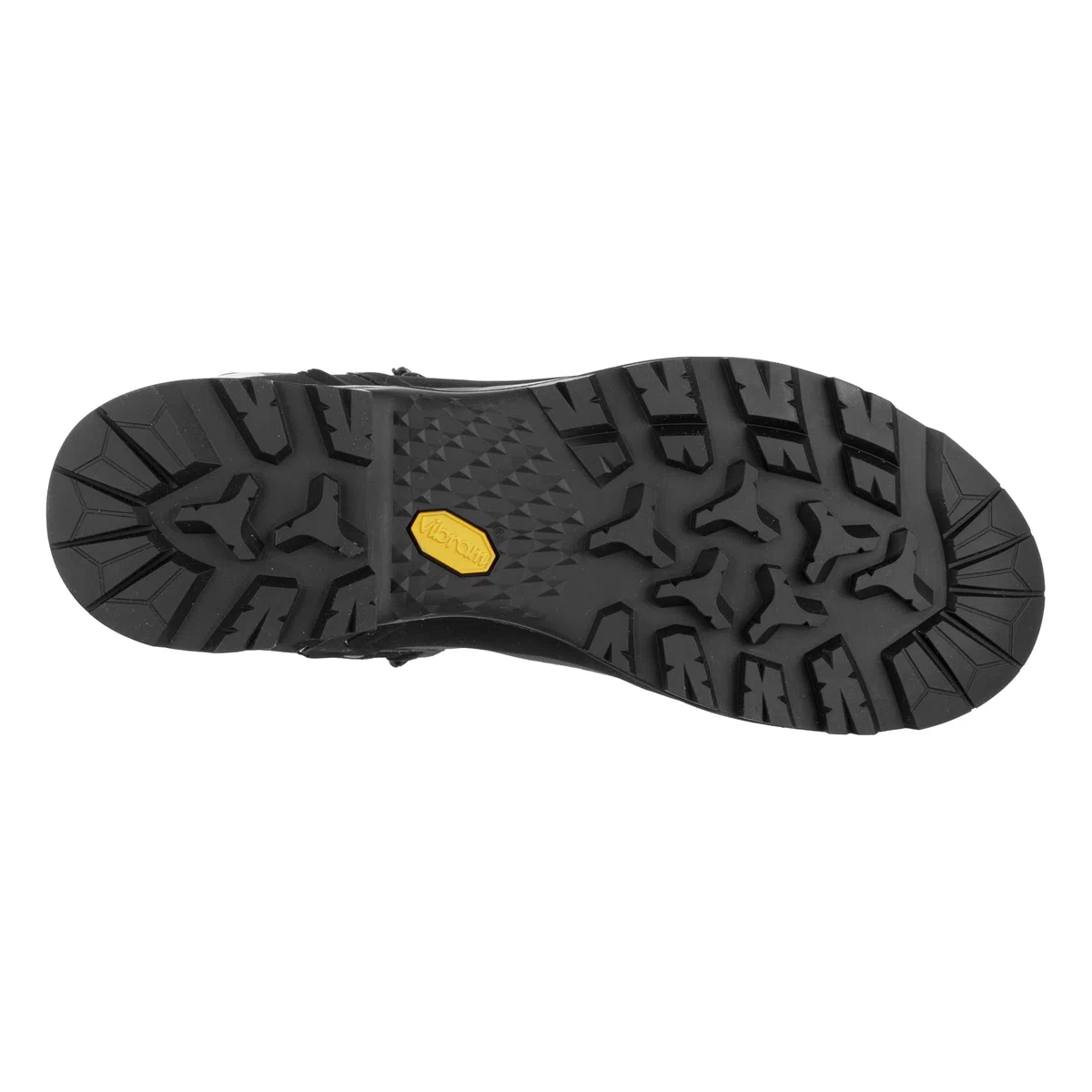 Salewa