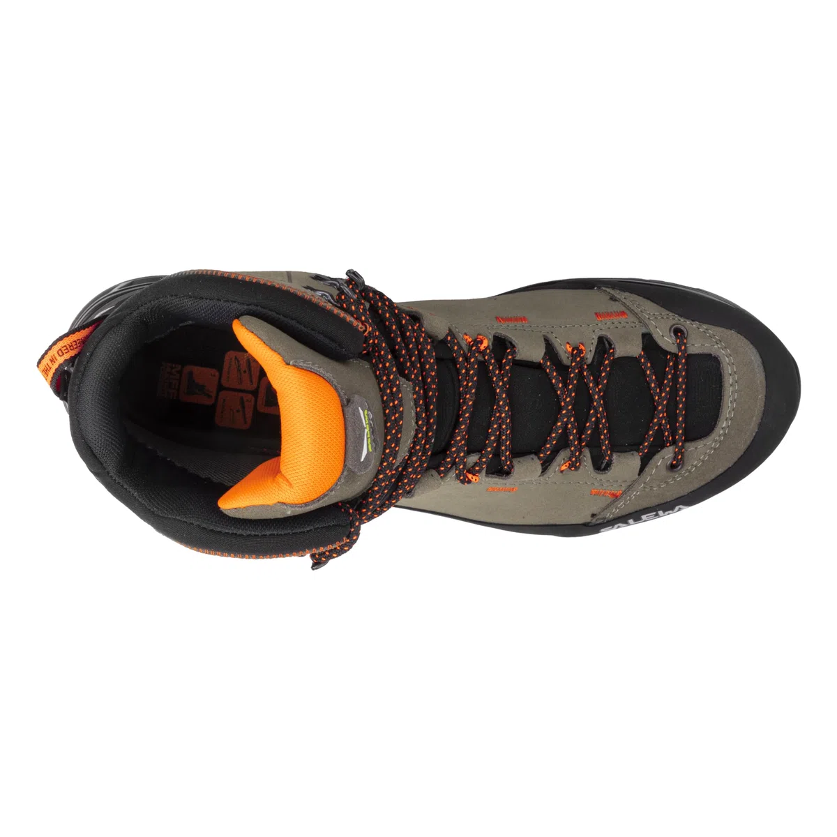 Salewa